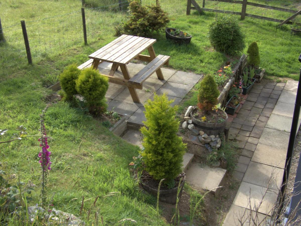 Abergwynant Farm Glamping & Apartments Dolgellau Luaran gambar