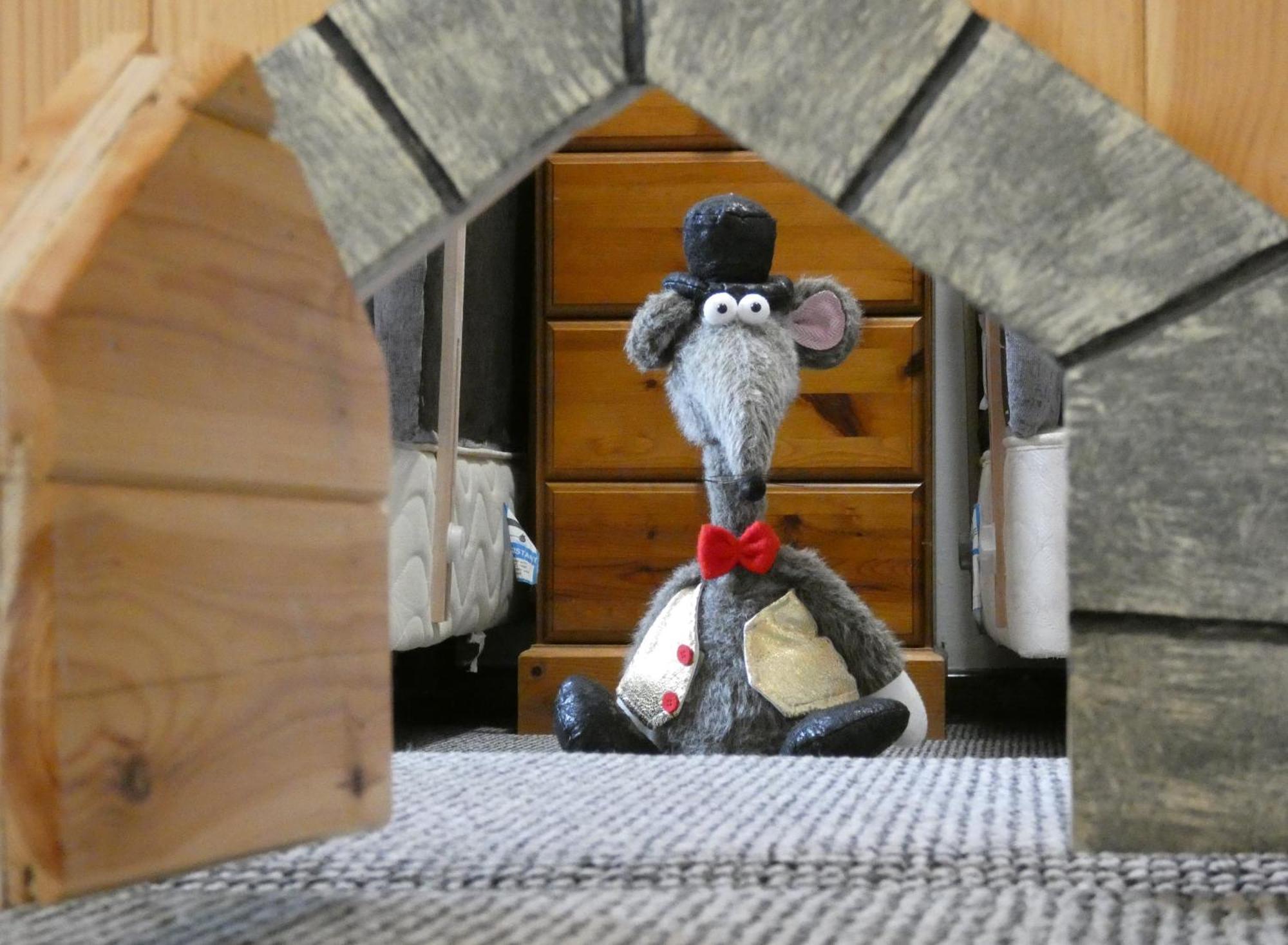 Abergwynant Farm Glamping & Apartments Dolgellau Luaran gambar