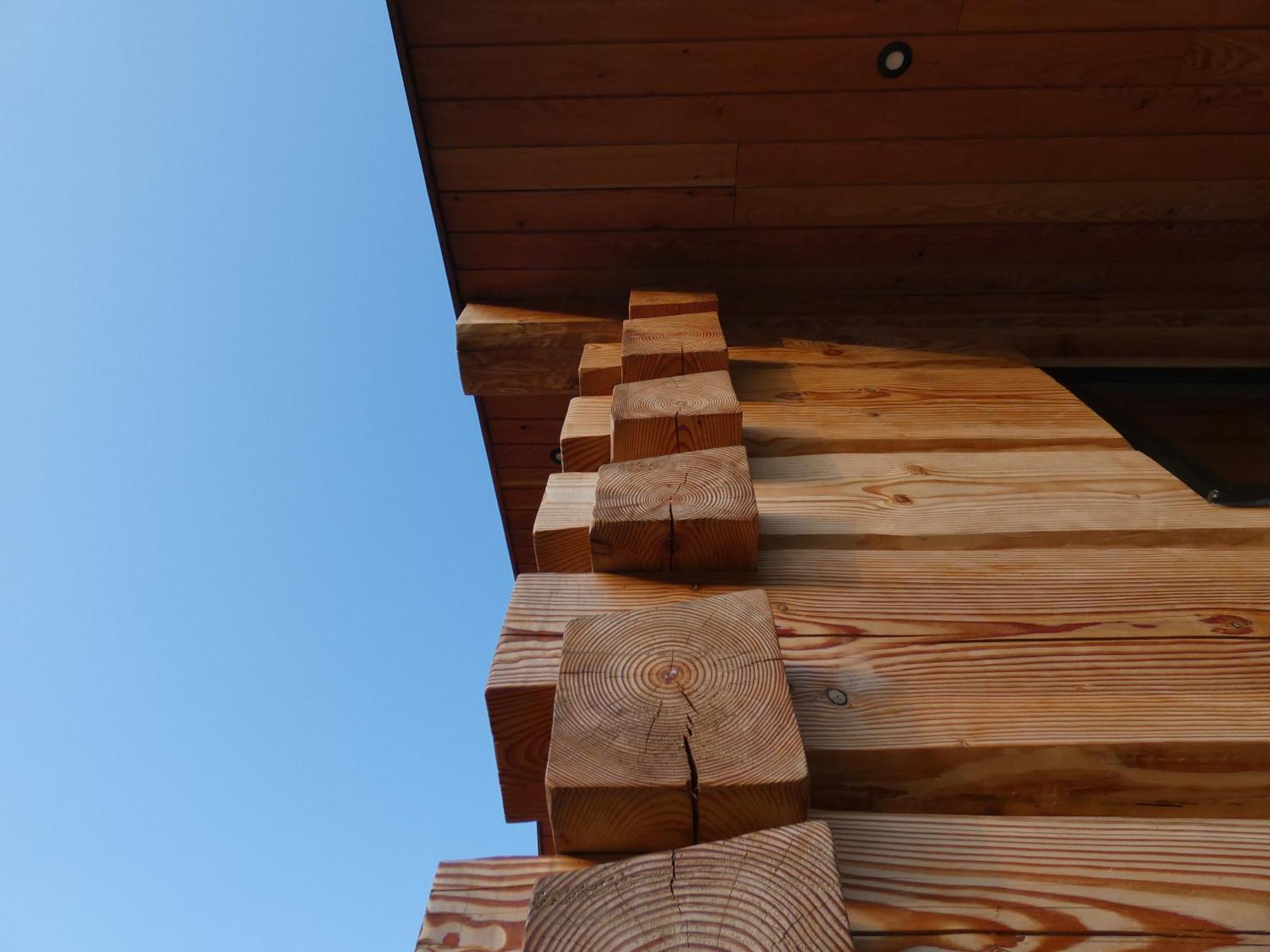 Abergwynant Farm Glamping & Apartments Dolgellau Luaran gambar