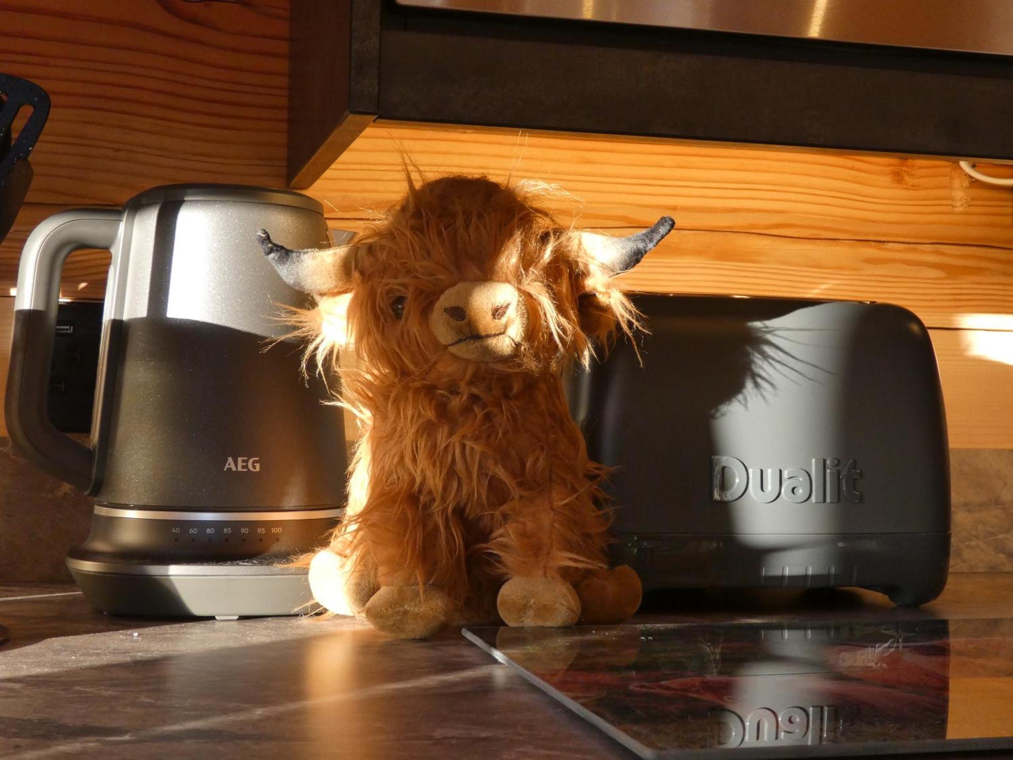 Abergwynant Farm Glamping & Apartments Dolgellau Luaran gambar